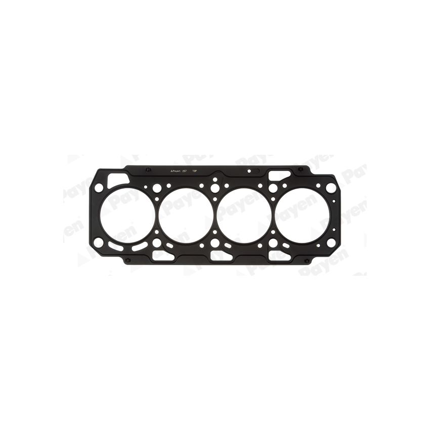 USZCZELKA GŁOWICY PAYEN AH7380 FIAT 16V 2.0JTD 08-