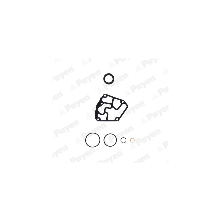 KOMPLET USZCZELEK BLOKU PAYEN EC060 FORD 16V 1.9TDI 05-06