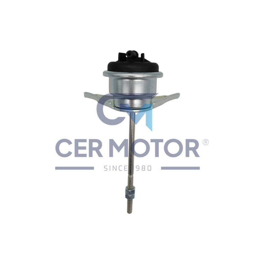 ZAWÓR WASTEGATE TS A4898 R 2.5DCI 01-
