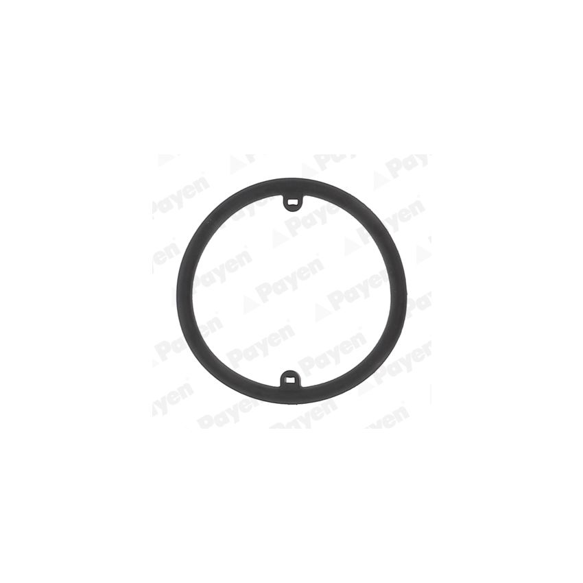 USZCZELKA KOLEKTORA SSĄCEGO PAYEN KK5686 VW 1.6TD-1.9D 80-