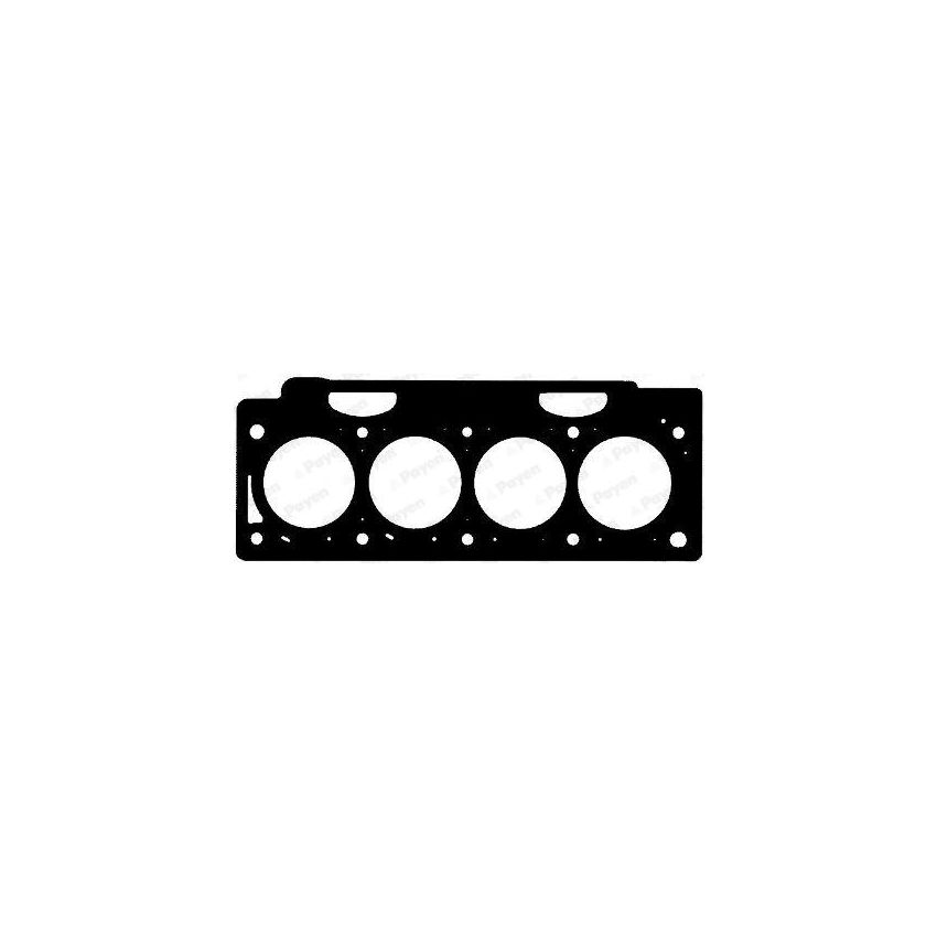 USZCZELKA GŁOWICY PAYEN AC5062 RENAULT 1.9DCI 99-