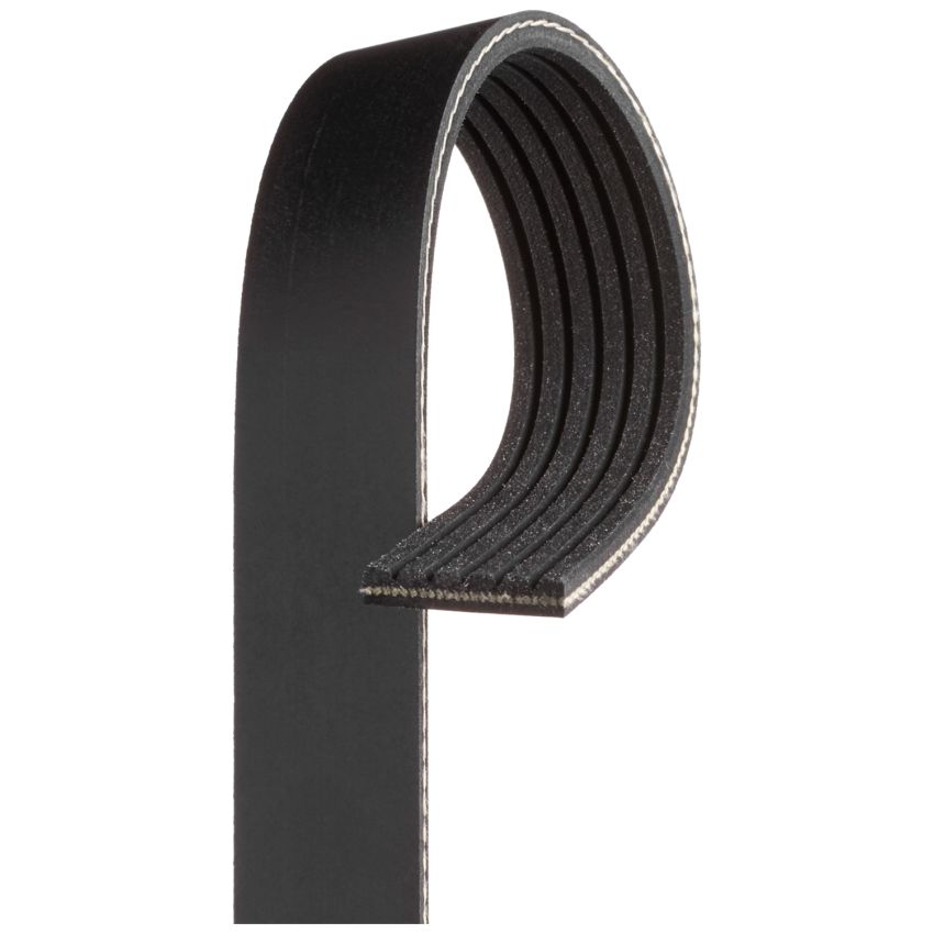 PASEK WIELOROWKOWY DAYCO 6PK1555