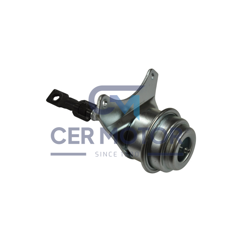 ZAWÓR WASTEGATE TS A5289 R 2.0DCI 06-