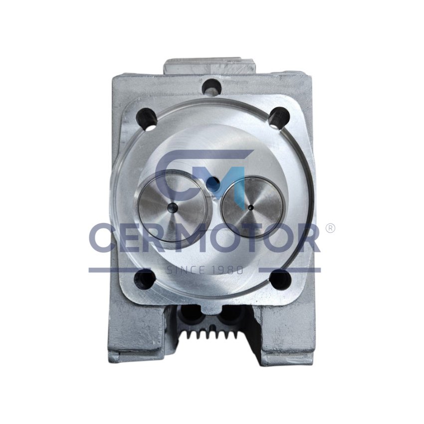 GŁOWICA OE GERMANY 040129913000 DEUTZ BFL913 -