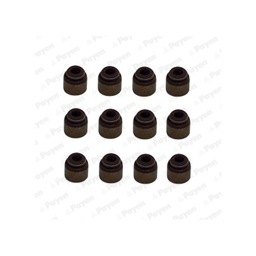 KOMPLET USZCZELNIACZY ZAWOROWYCH PAYEN HR5133 NISSAN 1.0-5.6 88-