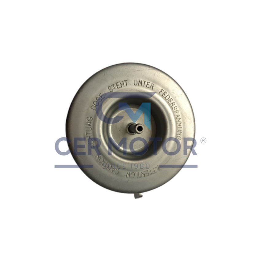 ZAWÓR WASTEGATE TS A8099 B03