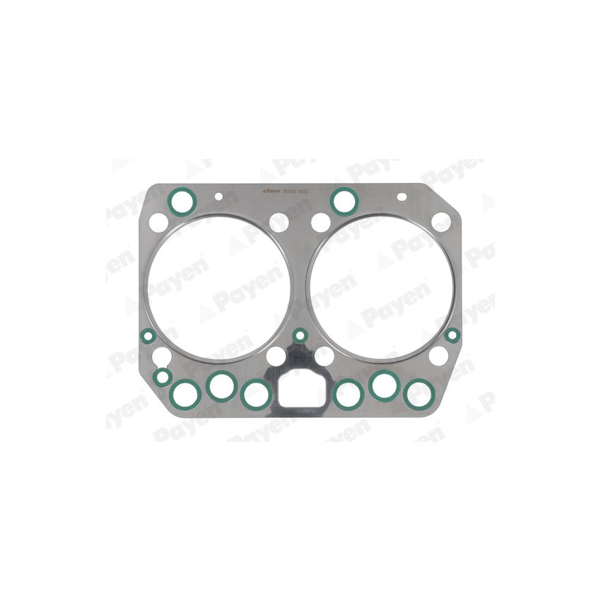 USZCZELKA GŁOWICY PAYEN BV500 MAN D0824 95-