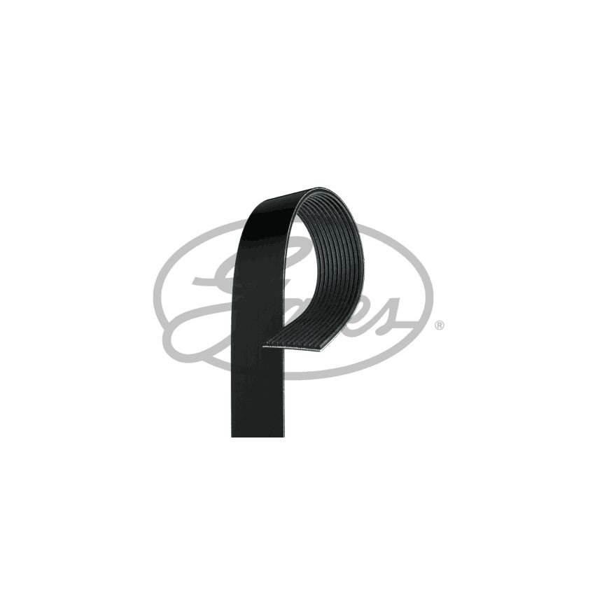 PASEK WIELOROWKOWY DAYCO 11PK2871HD MERCEDES OM541 96-