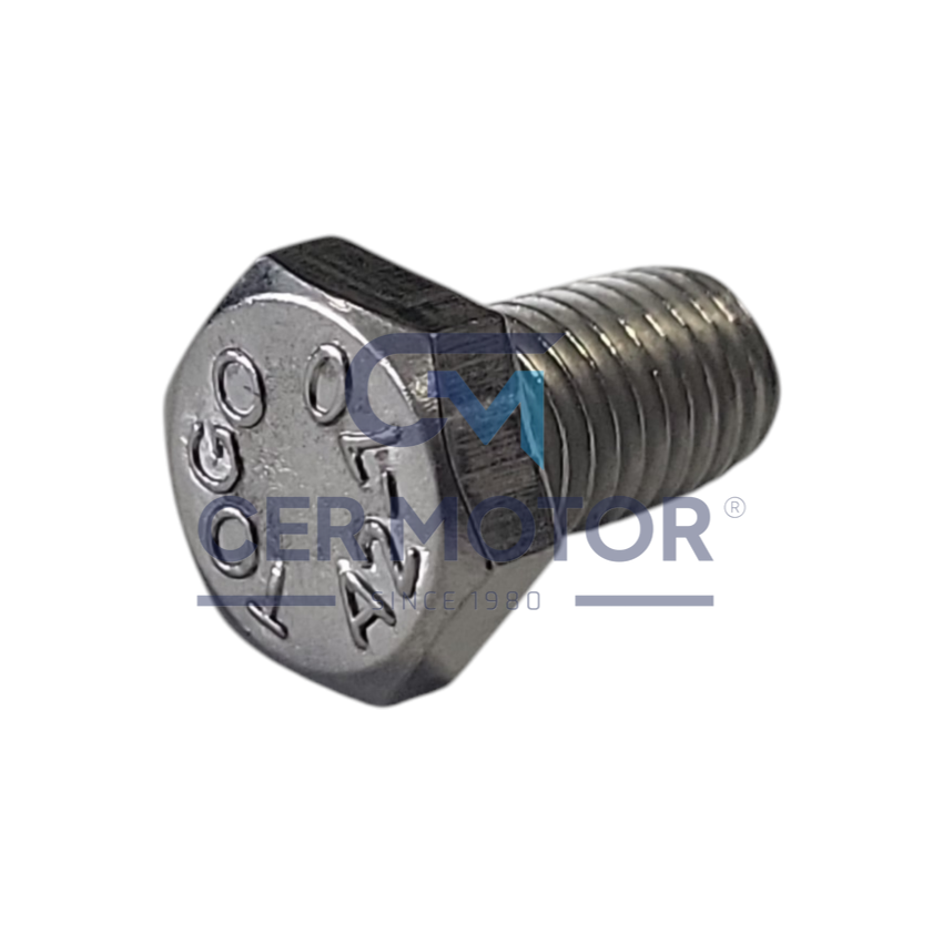 ŚRUBA TURBOSPRĘŻARKI JRONE T7906 BV43/BV50