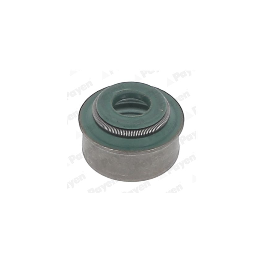USZCZELNIACZ ZAWOROWY PAYEN PA565 OPEL 1.0-3.0 79-08