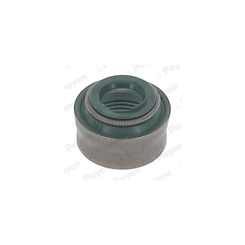 USZCZELNIACZ ZAWOROWY PAYEN PB180 VOLVO D12 68-