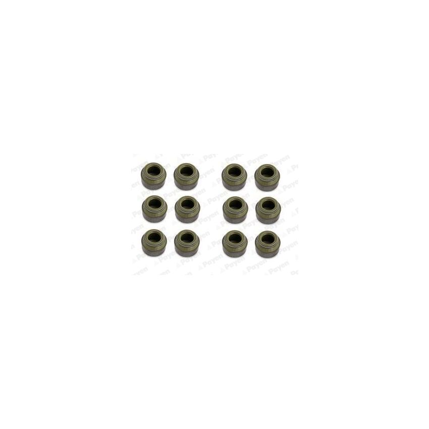 KOMPLET USZCZELNIACZY ZAWOROWYCH PAYEN HR805 VW 0.9-2.5 73-