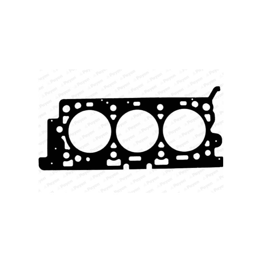 USZCZELKA GŁOWICY PAYEN AC5390 JAGUAR 3.0 01-