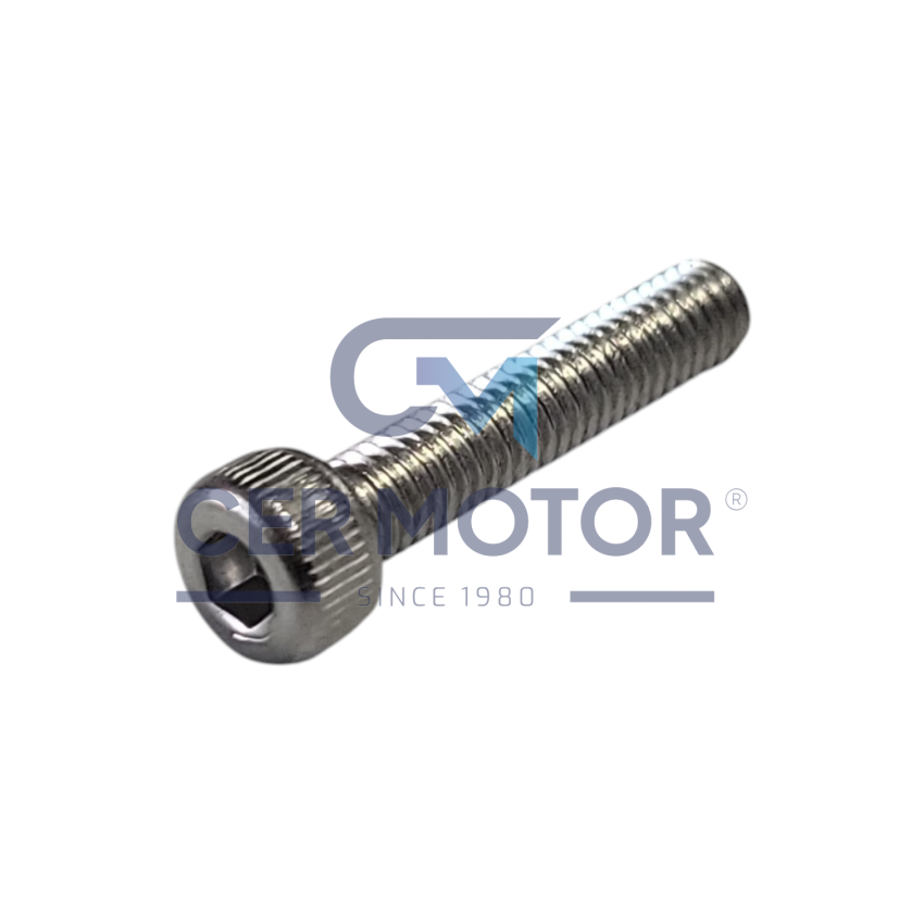 ŚRUBA TURBOSPRĘŻARKI TS A8824 VNT15-25