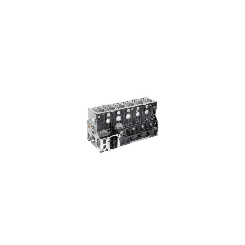BLOK SILNIKA BF 20030208361 MAN D0836