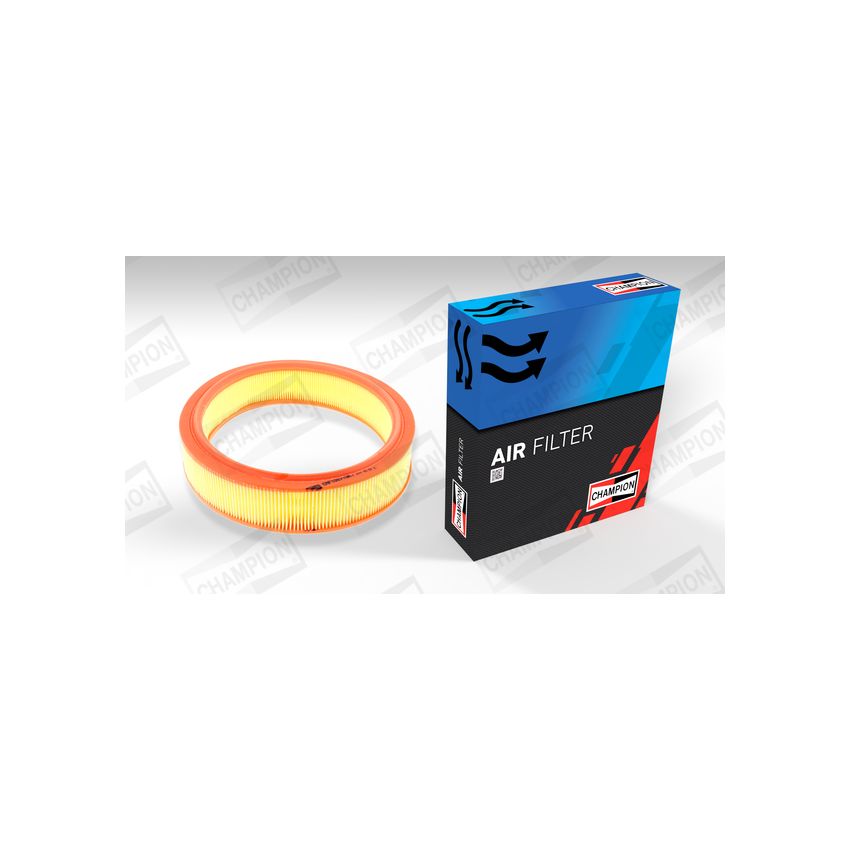 FILTR POWIETRZA CHAMPION CAF100719R FORD 1.1 98-10