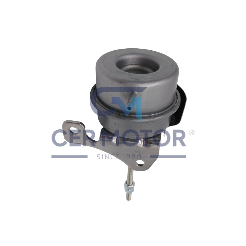 ZAWÓR WASTEGATE CER A2969 BV39