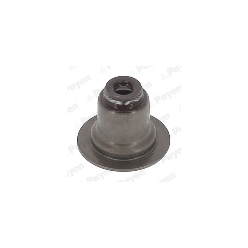 USZCZELNIACZ ZAWOROWY PAYEN PA6117 FORD 1.0-1.6 10-