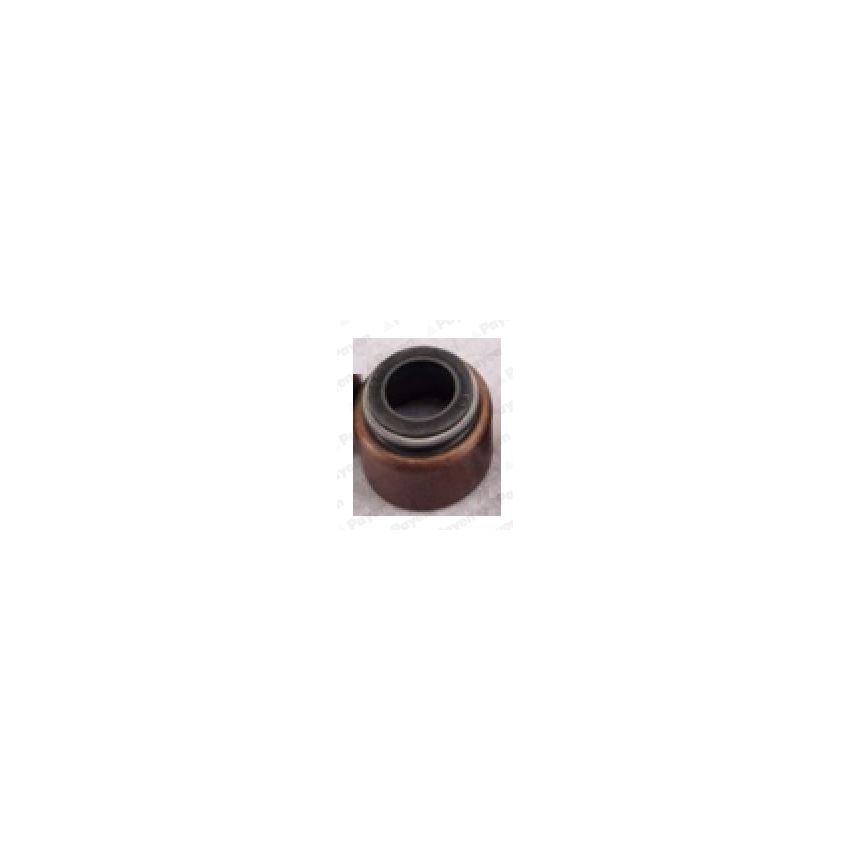 USZCZELNIACZ ZAWOROWY PAYEN KJ710 MAZDA 1.1-3.0 72-06