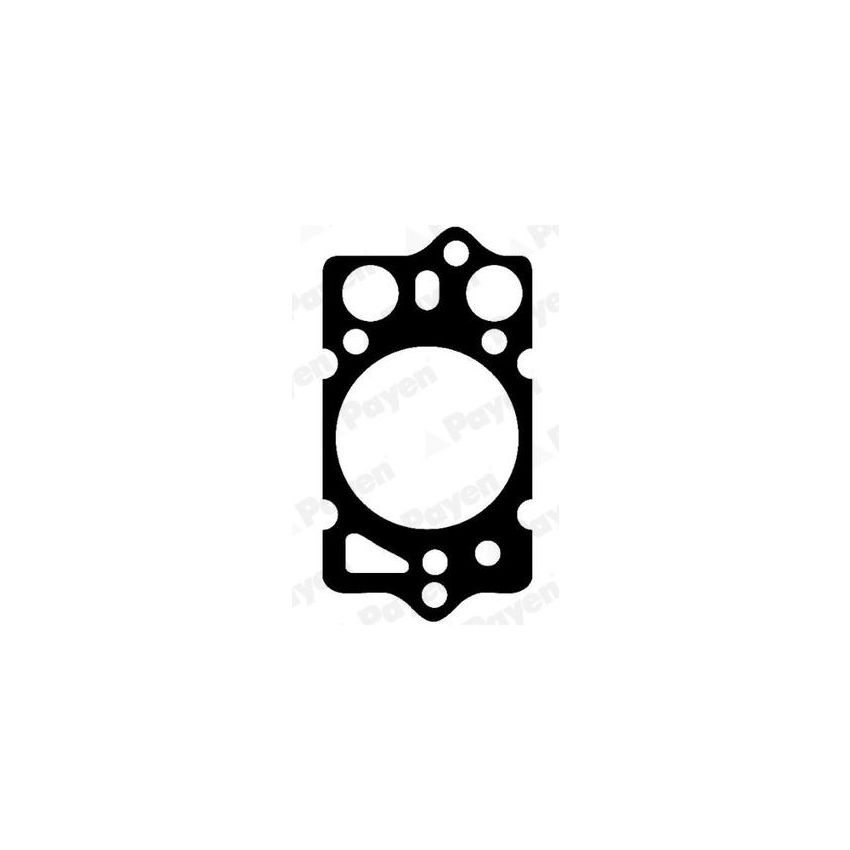 USZCZELKA GŁOWICY PAYEN BK570 ALFA ROMEO 1.8TD-2.5TD 79-98