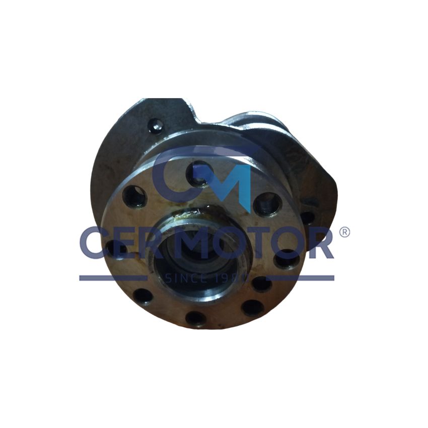WAŁ KORBOWY MV PARTS D35621 FORD 2.0D 18-