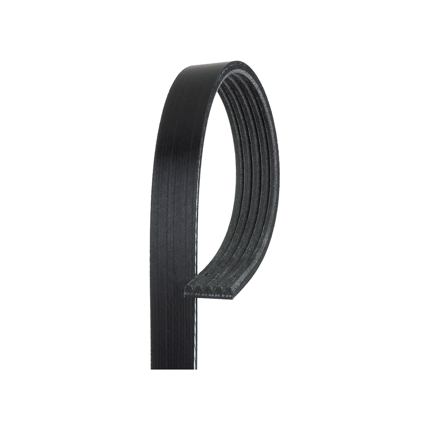 PASEK WIELOROWKOWY BGA 5PK1750