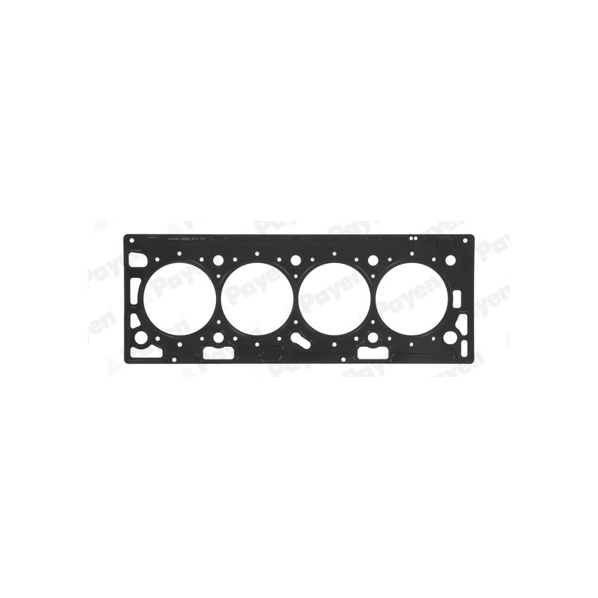 USZCZELKA GŁOWICY PAYEN AE5930 OPEL 1.6 00-10