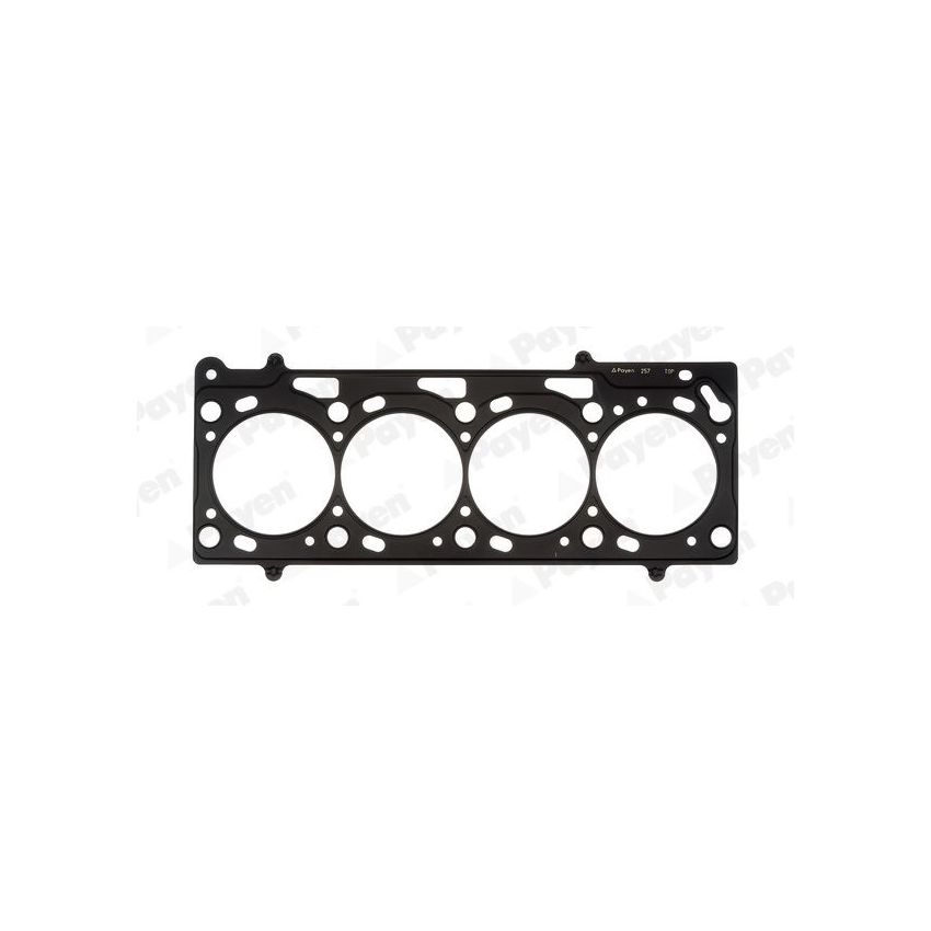 USZCZELKA GŁOWICY PAYEN AC5280 VW 1.6 99-