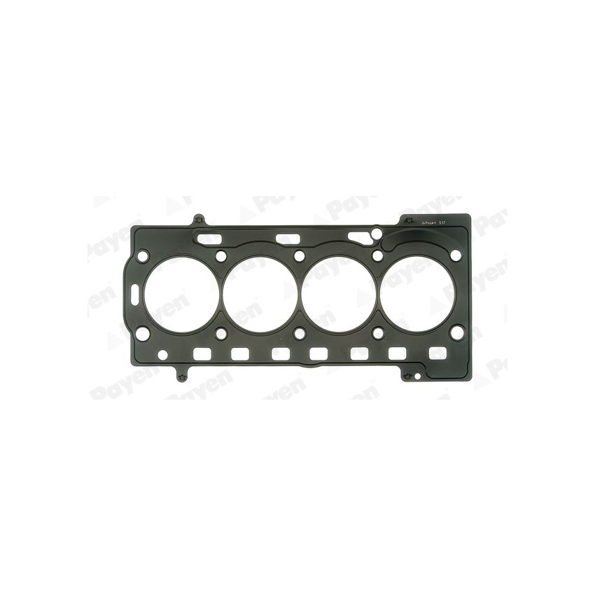 USZCZELKA GŁOWICY PAYEN AG8850 VW 1.4-1.6 16V 03-04