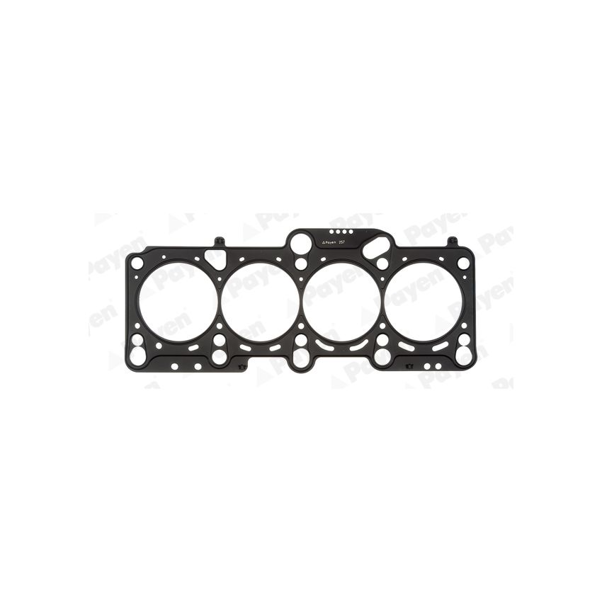 USZCZELKA GŁOWICY PAYEN AH6930 VW 2.0 16V 04-