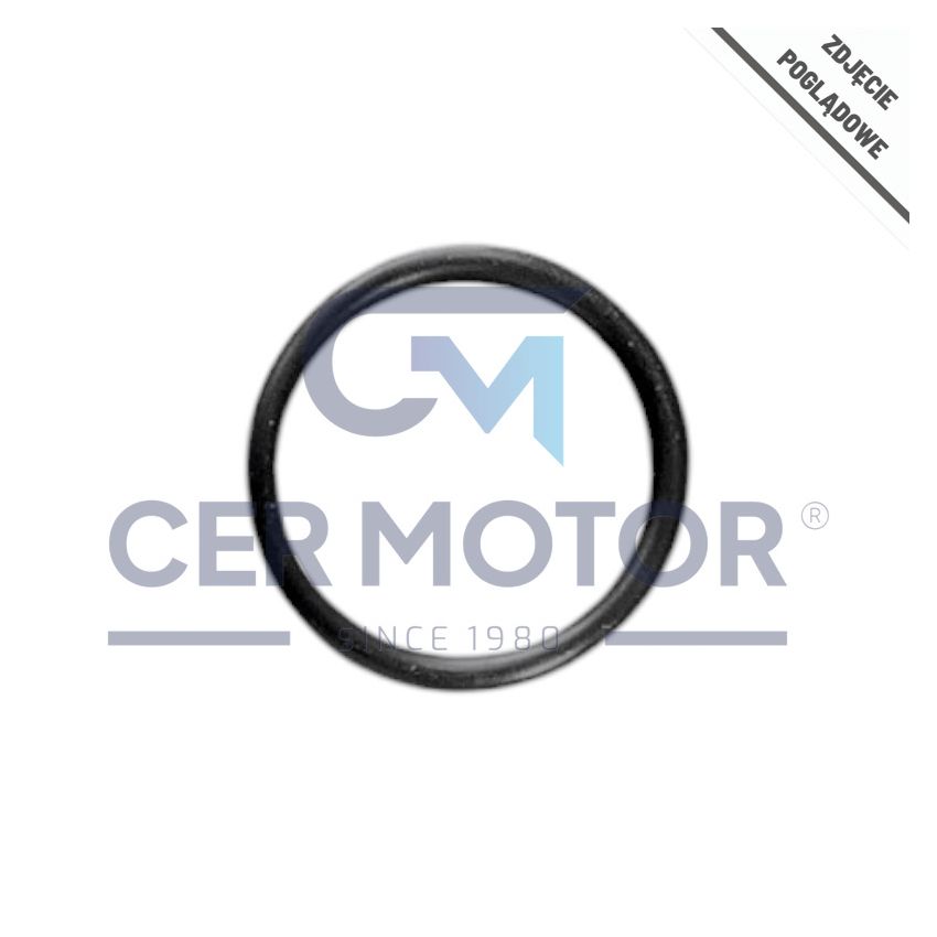 ORING CEWKI GASZENIA SILNIKA MV PARTS 129888 CUMMINS L10