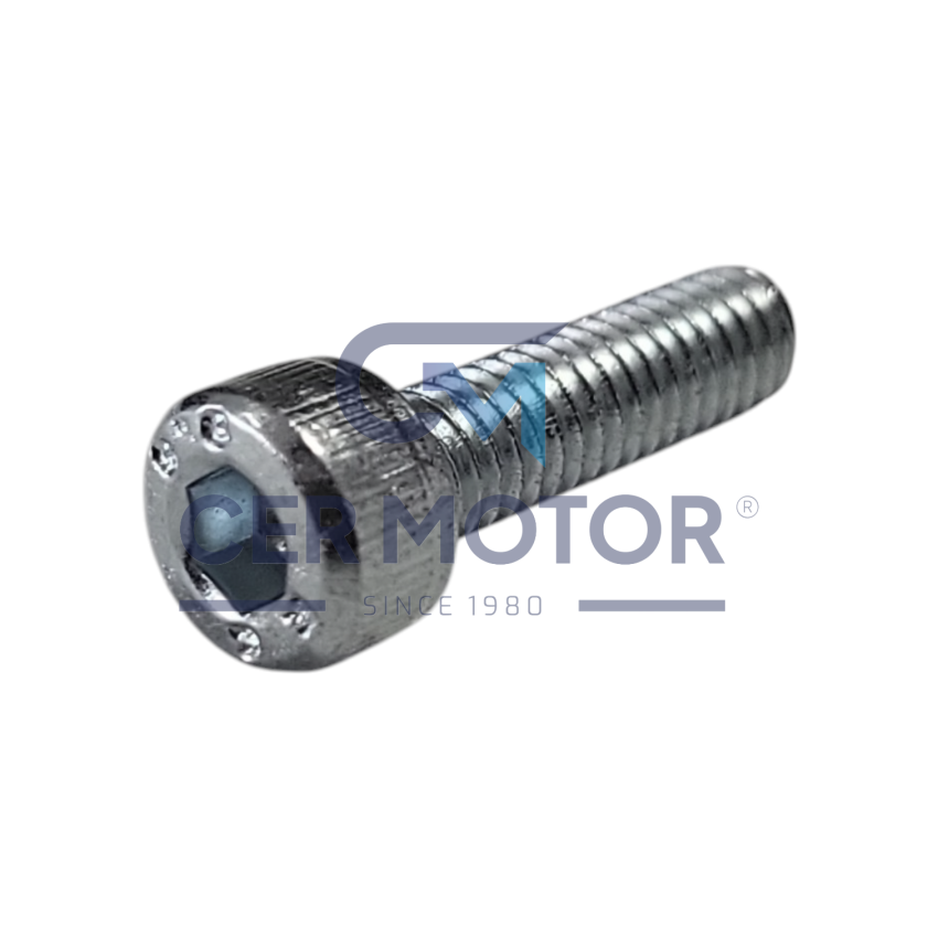 ŚRUBA TURBOSPRĘŻARKI JRONE T8310 CT9