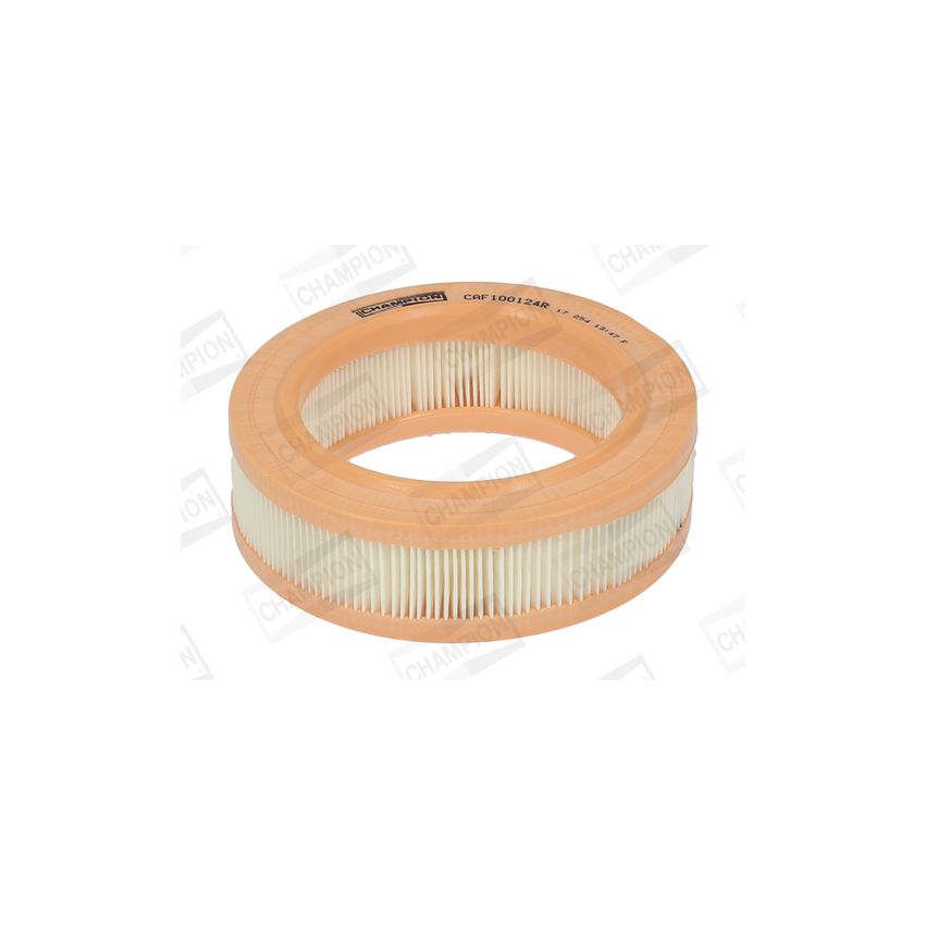 FILTR POWIETRZA CHAMPION CAF100124R 0.9-1.1 68-