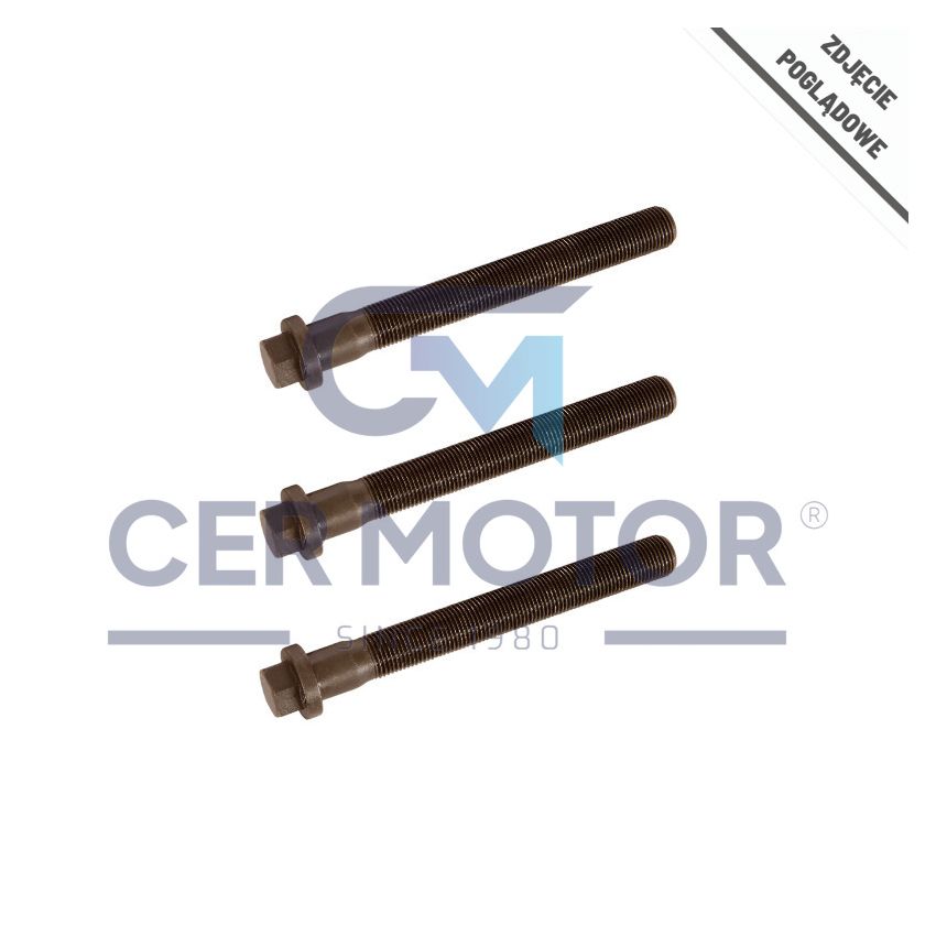 KOMPLET ŚRUB WAŁU KORBOWEGO INA 411013911 VW 2.5TDI 06-