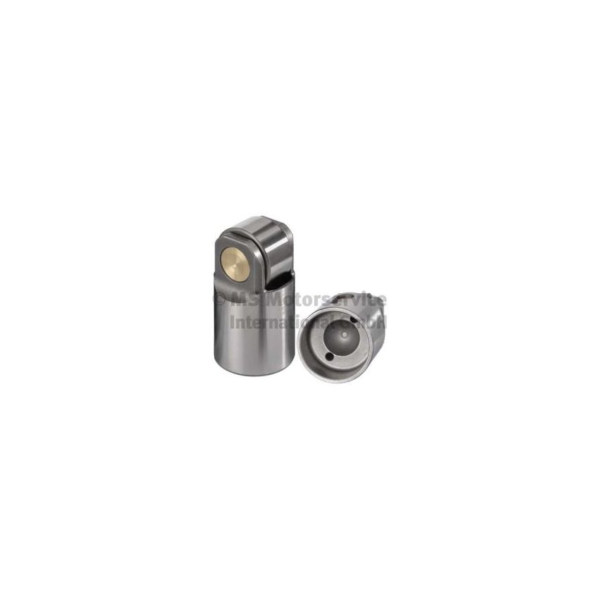 POPYCHACZ ZAWOROWY BF 20100910001 DAF MX-13 05-
