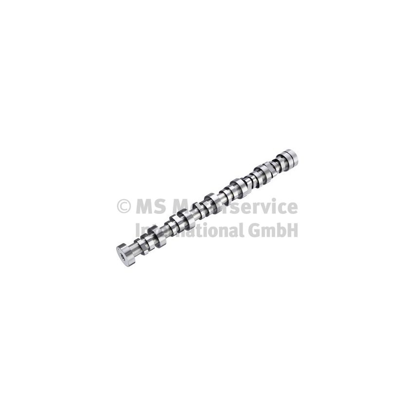 WAŁEK ROZRZĄDU BF 20100913001 DAF MX13 17-