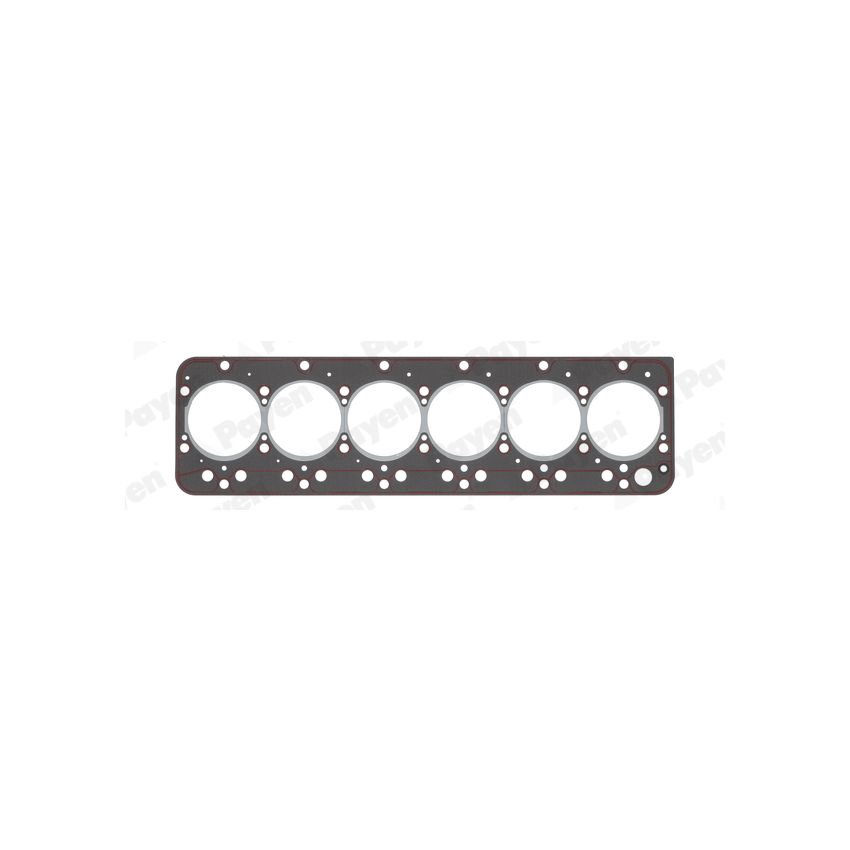 USZCZELKA GŁOWICY PAYEN BMW 160 IVECO 8060.04 71-