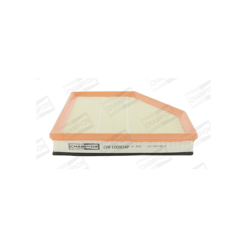 FILTR POWIETRZA CHAMPION CAF100934P BMW 4.4D 04-10