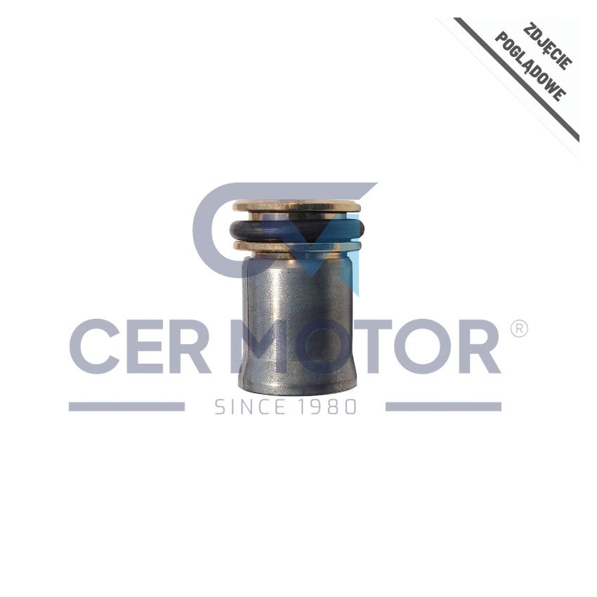 ZAWÓR ZWROTNY GŁOWICY OE 9840865680 POWER SEAL 2.0HDI 09-