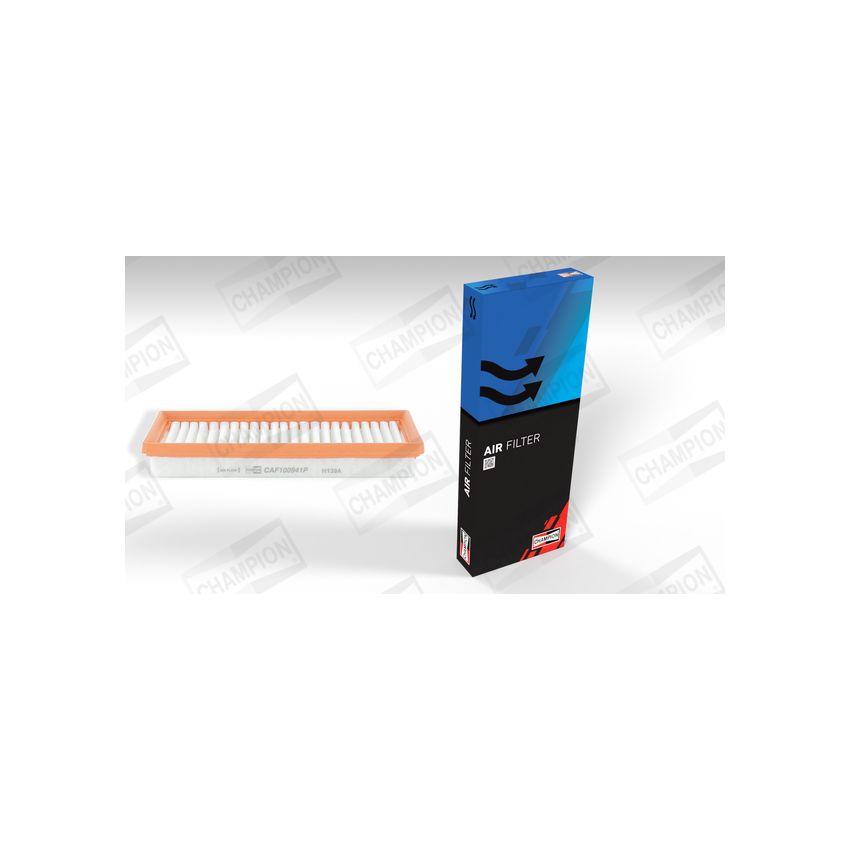 FILTR POWIETRZA CHAMPION CAF100941P SMART 0.8-1.0 07-