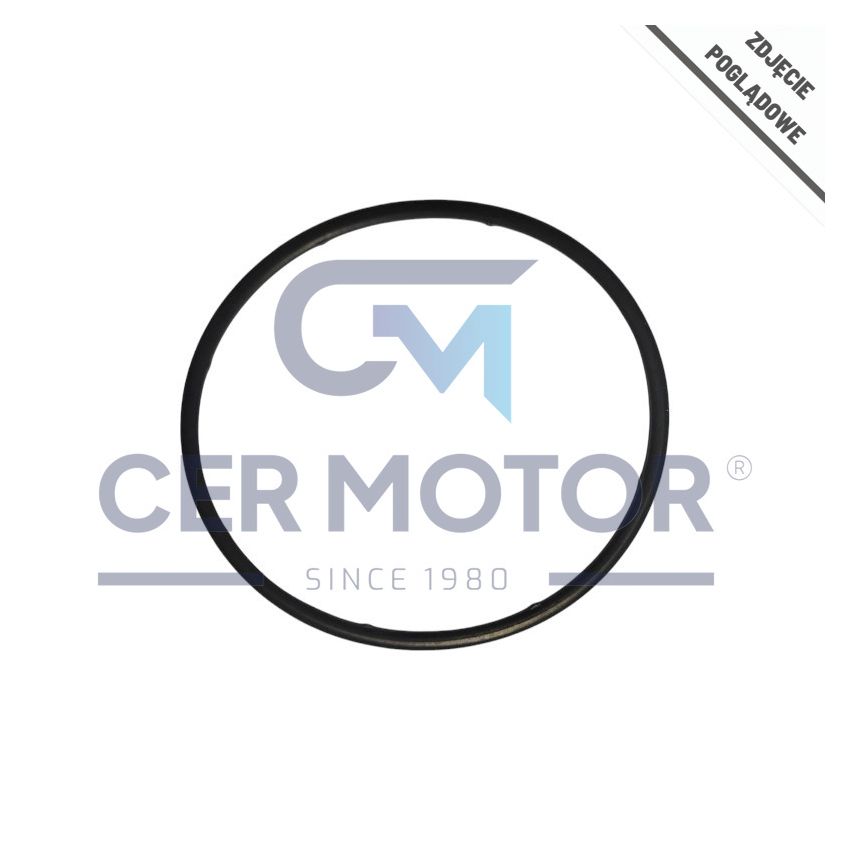 USZCZELKA FILTRA OLEJU AJUSA 01014800 NISSAN 2.5DCI 98-