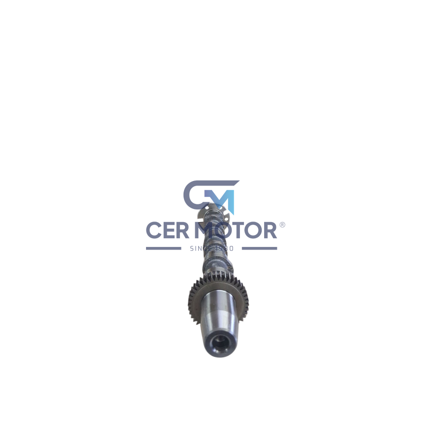 WAŁEK ROZRZĄDU MV PARTS K3601A VW 3.0TDI 04-