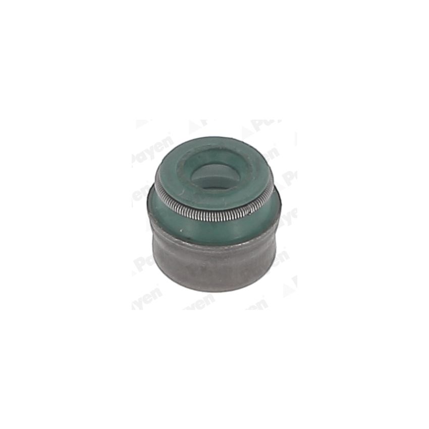 USZCZELNIACZ ZAWOROWY PAYEN PA5041 OPEL 1.4-3.2 92-