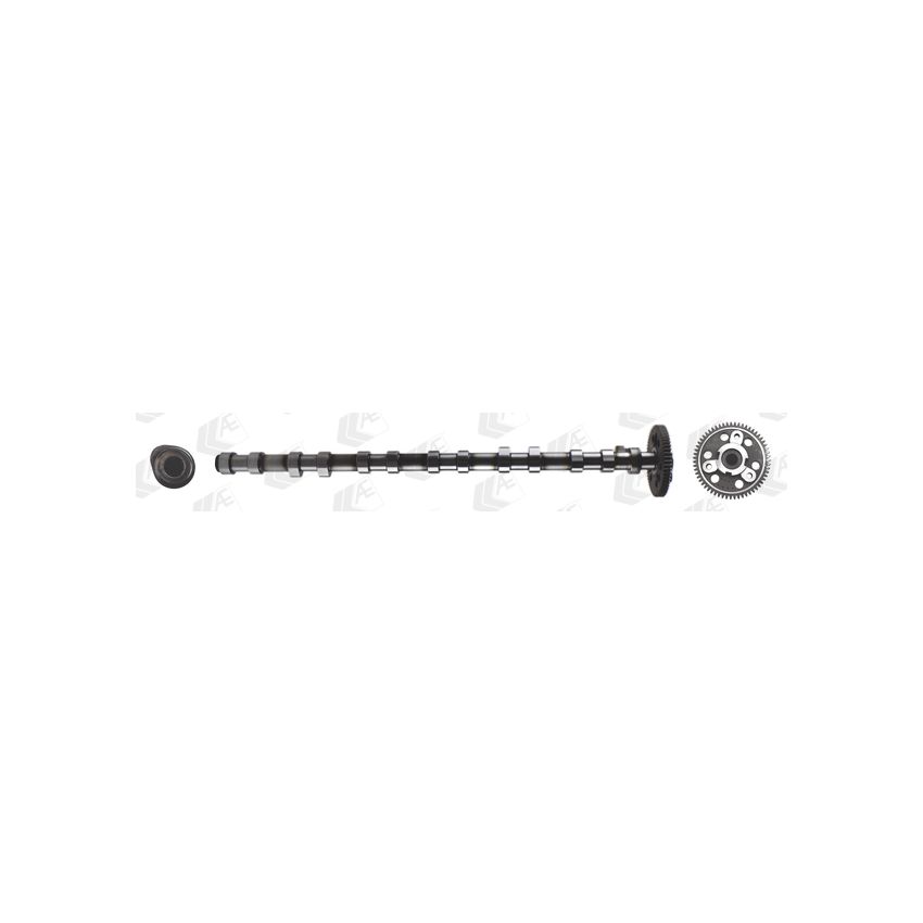 WAŁEK ROZRZĄDU AE CAM1016 BMW 2.5TD 04-07