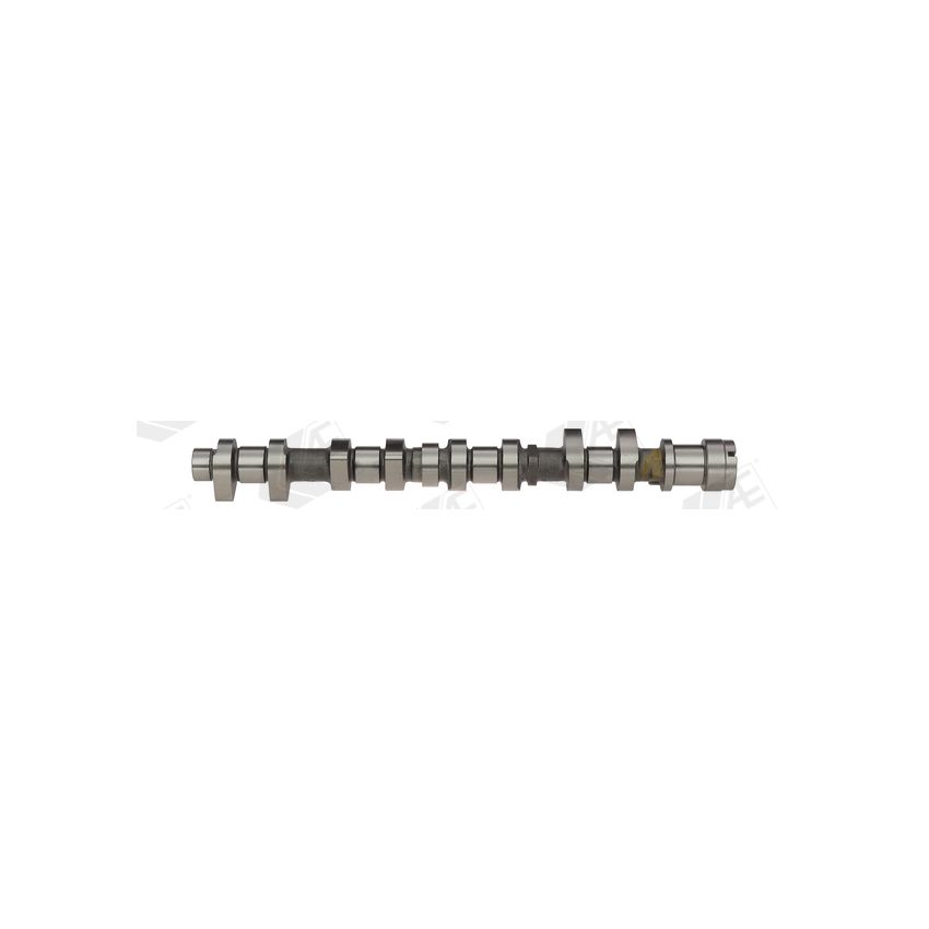 WAŁEK ROZRZĄDU AE CAM959 PSA 1.6 00-