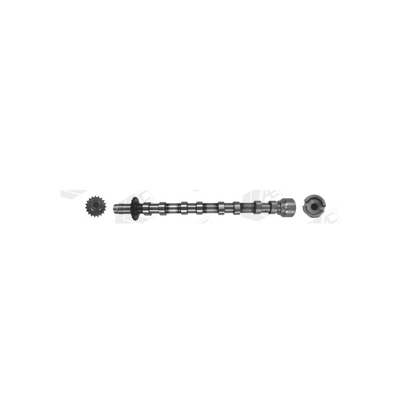 WAŁEK ROZRZĄDU AE CAM1019 PSA 2.0HDI 09-