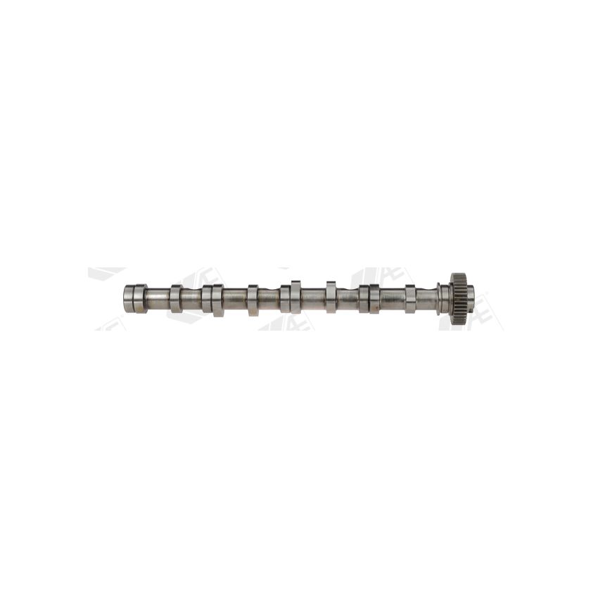 WAŁEK ROZRZĄDU AE CAM961 VW 1.6-2.0TDI 07-