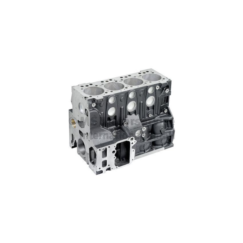 BLOK SILNIKA BF 20030208341 MAN D0834