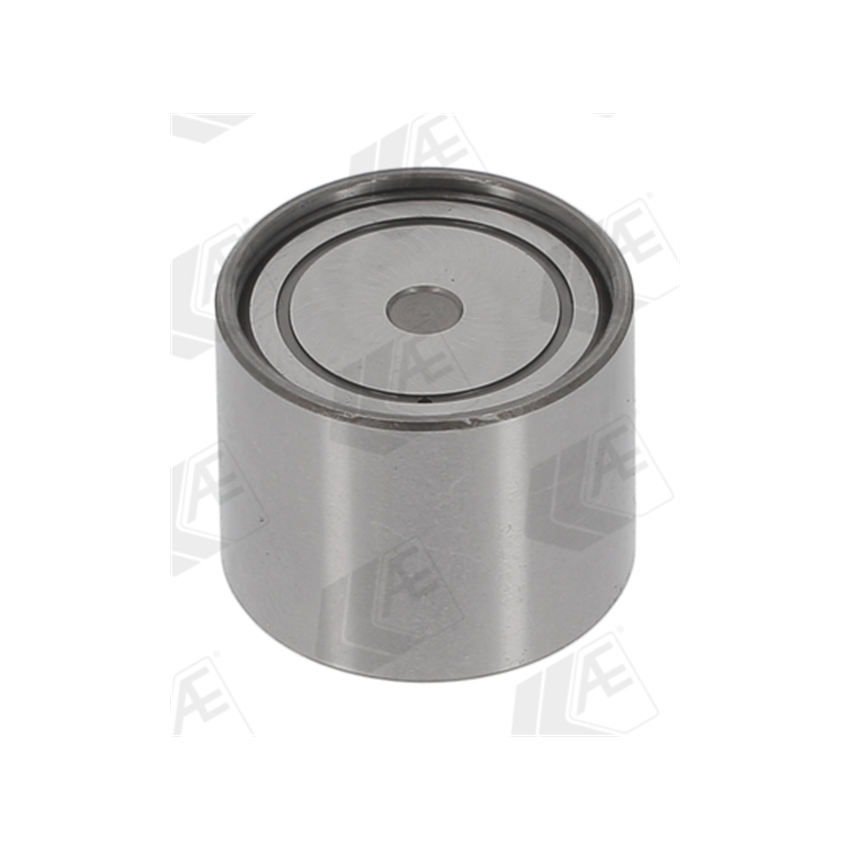 POPYCHACZ ZAWOROWY AE FORD OL258 NISSAN 2.2-2.5DCi 00-