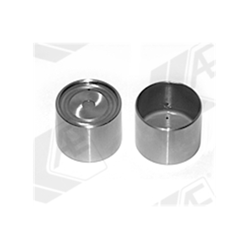 POPYCHACZ ZAWOROWY AE FORD OL258 NISSAN 2.2-2.5DCi 00-